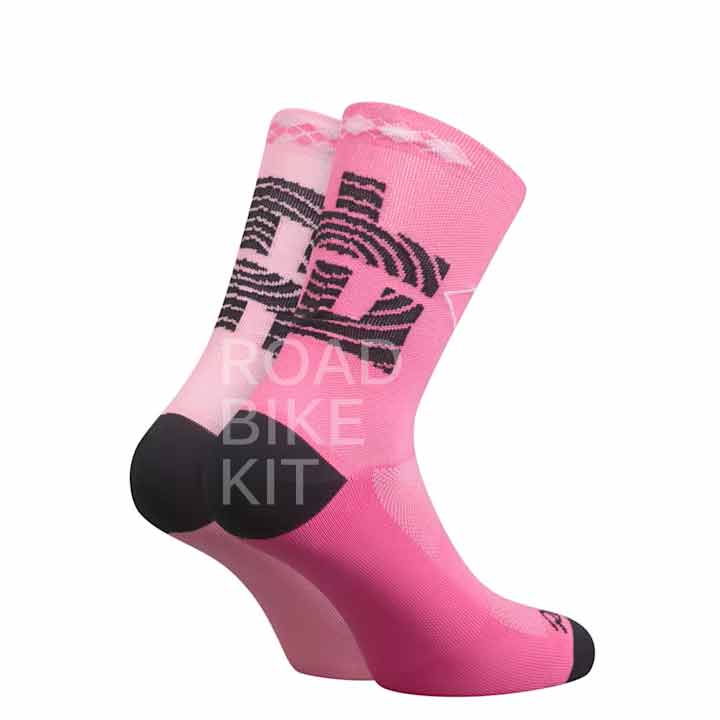 ef education sock 2023