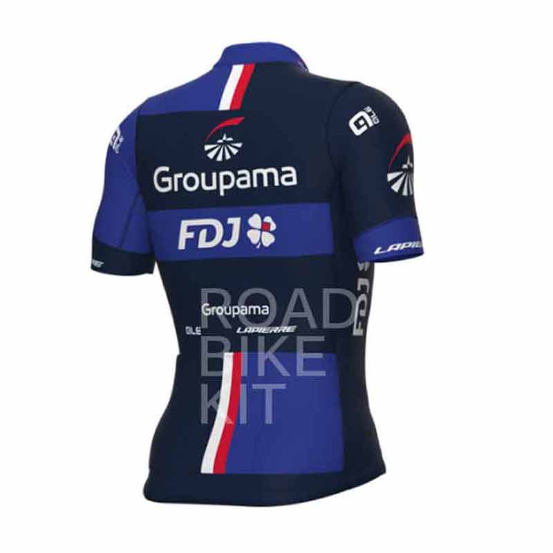 groupama fdj jersey back 2023