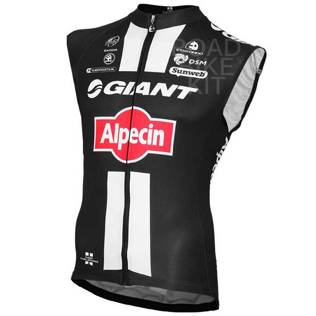 gilet 2015