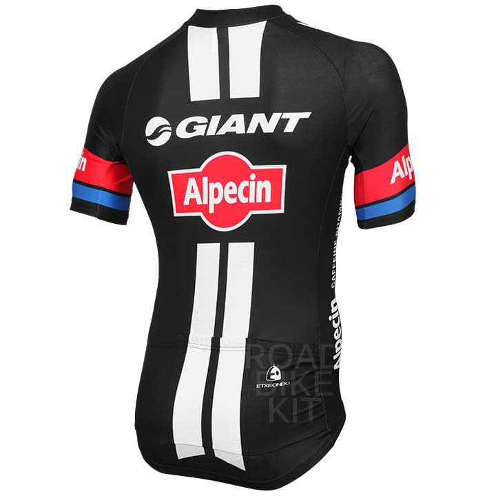  jersey back 2015