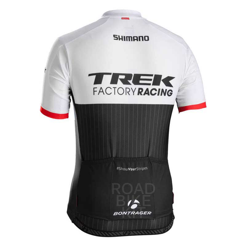 trek jersey back 2015
