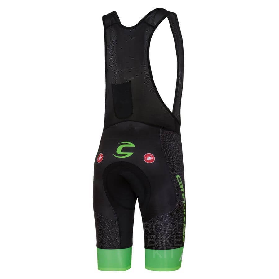 bibshorts back 2016