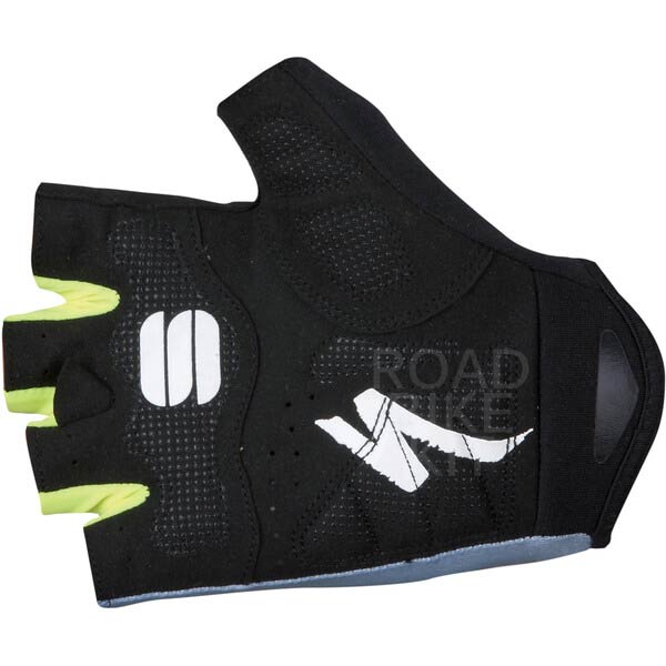 gloves back 2016