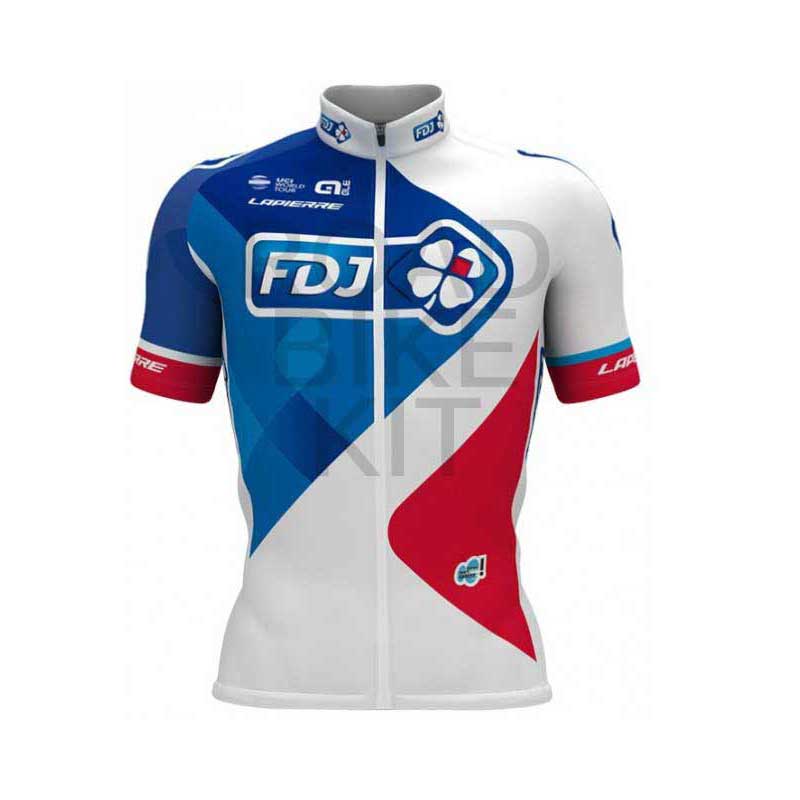 fdj 2017