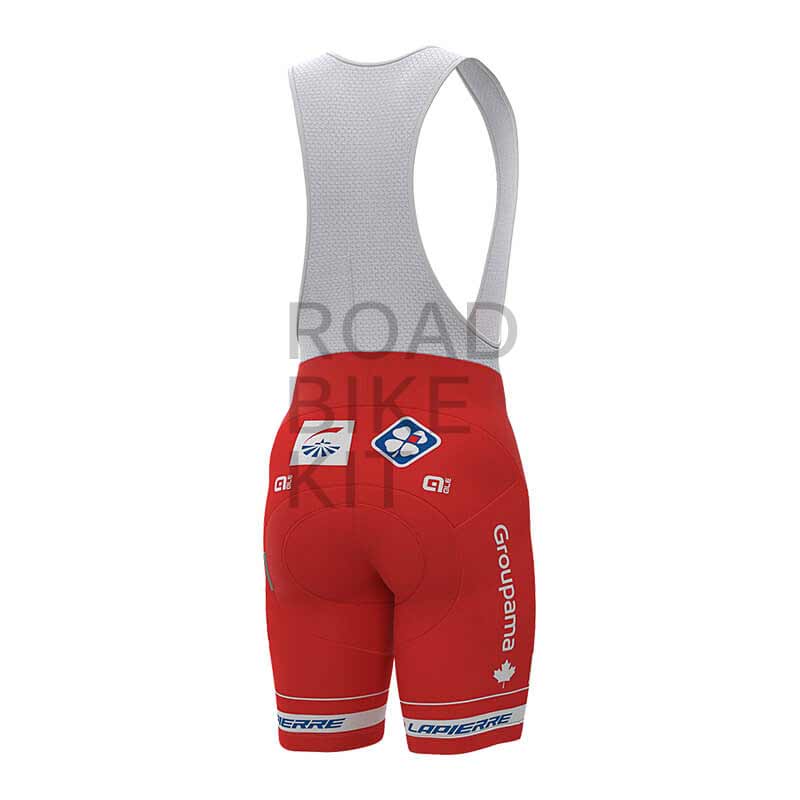 groupama fdj canada champion bibshorts back 2019