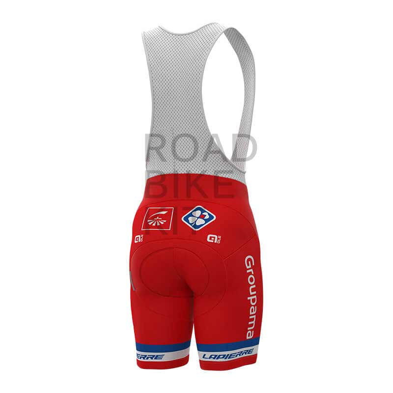 groupama fdj french champion bibshorts back 2019