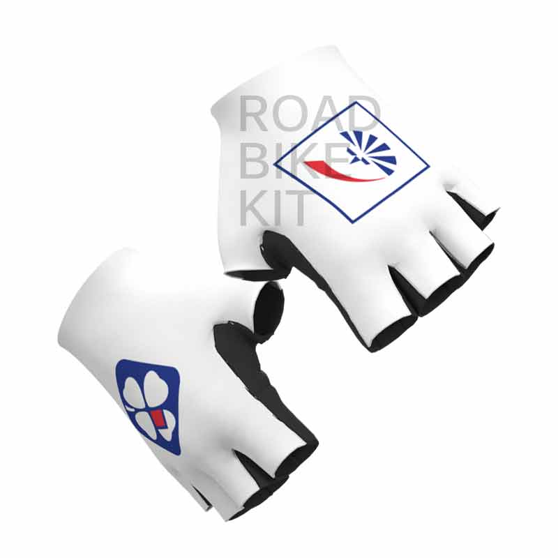 groupama fdj swiss champion bibshorts back 2019