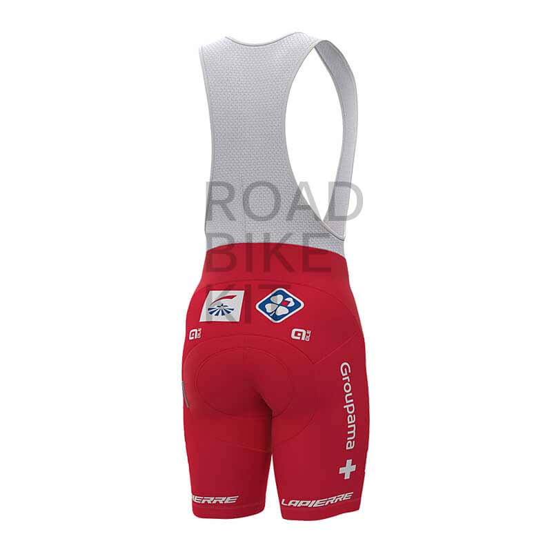 groupama fdj swiss champion bibshorts back 2019