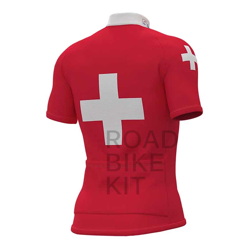 groupama fdj swiss champion jersey back 2019
