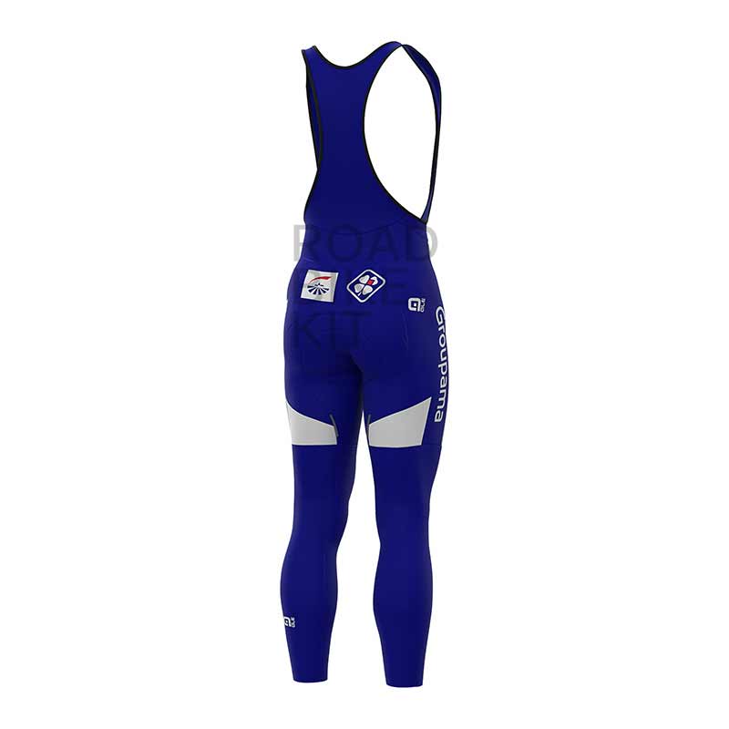 groupama fdj bibtights back 2020