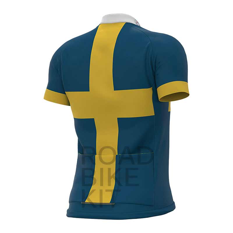 groupama fdj sweden champion jersey back 2019