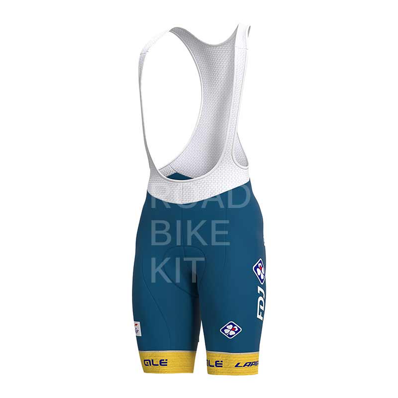 groupama fdj sweden champion bibshorts back 2020