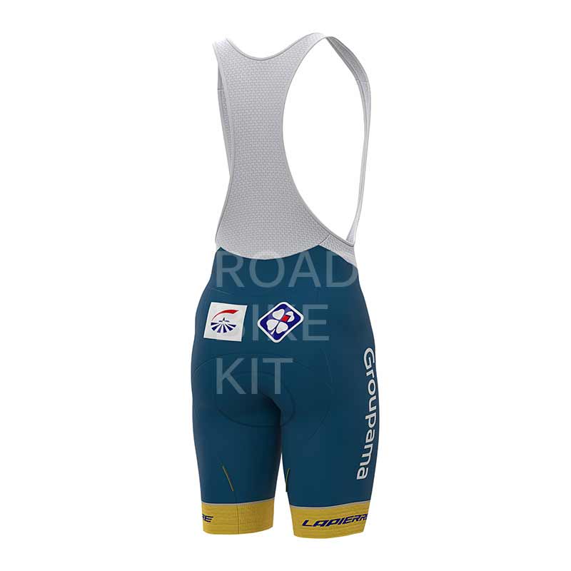 groupama fdj sweden champion bibshorts back 2020