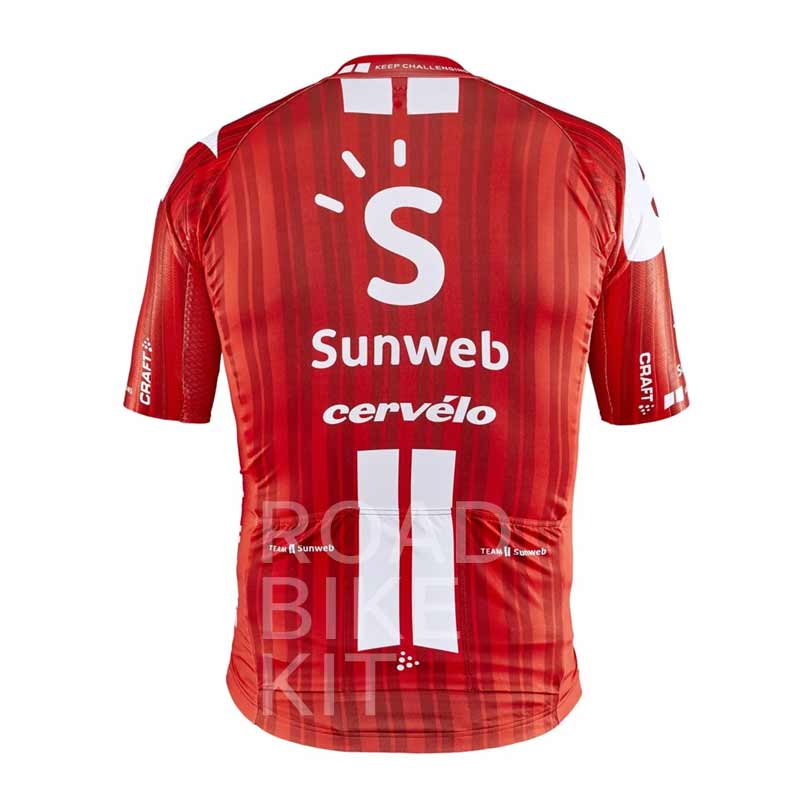 sunweb jersey aero back 2020