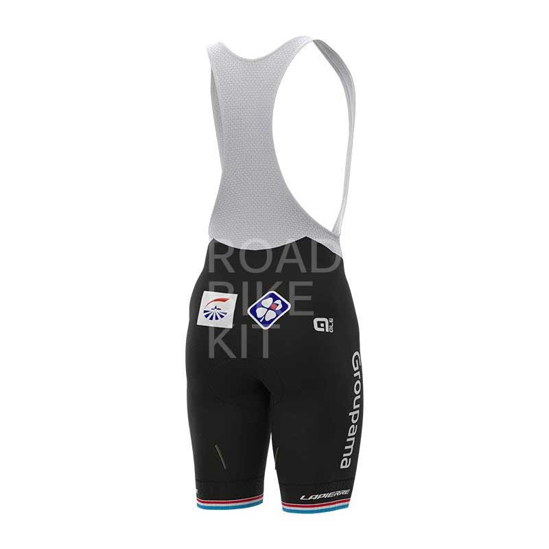 groupama fdj luxembourg champ bibshorts back 2021