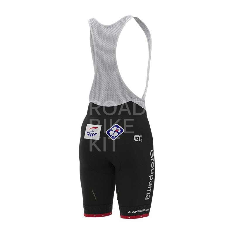 groupama fdj swiss champion bibshorts back 2021