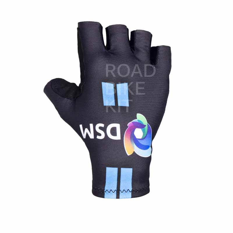 team dsm gloves 2021