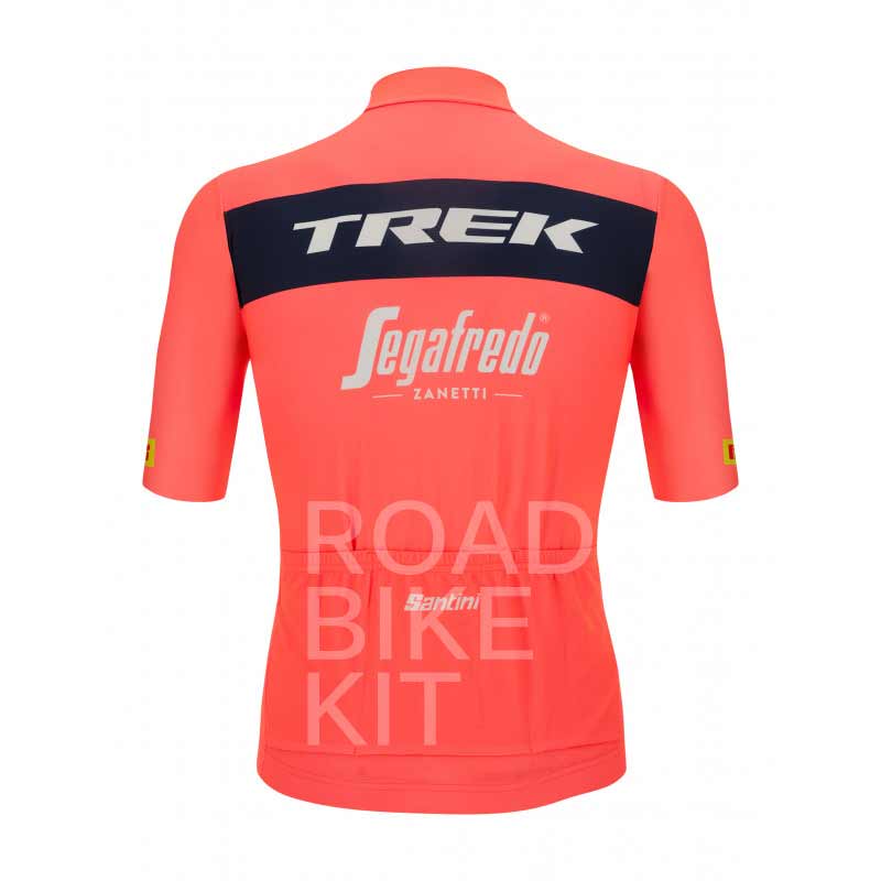 trek segafredo jersey training back 2022
