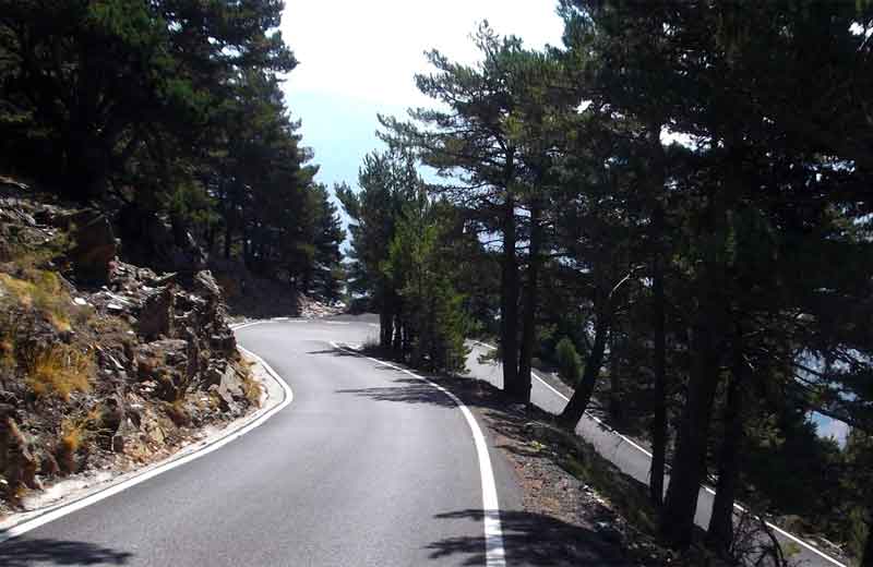 coll de la galina medium