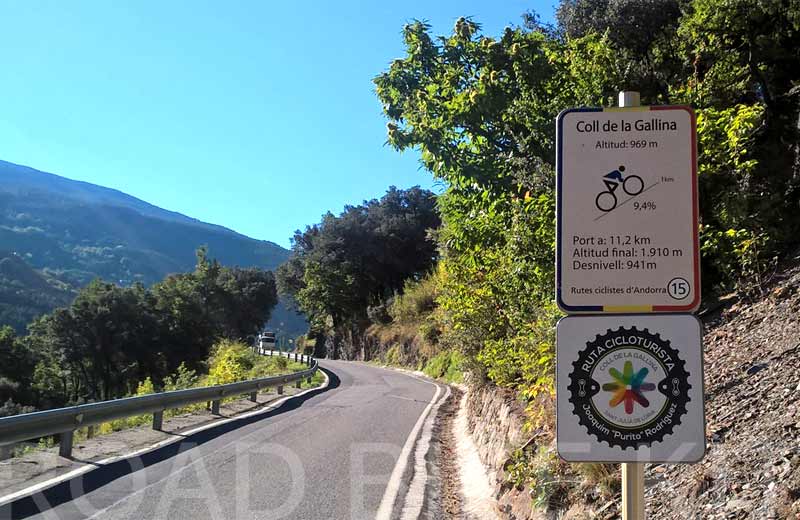 coll de la gallina 6