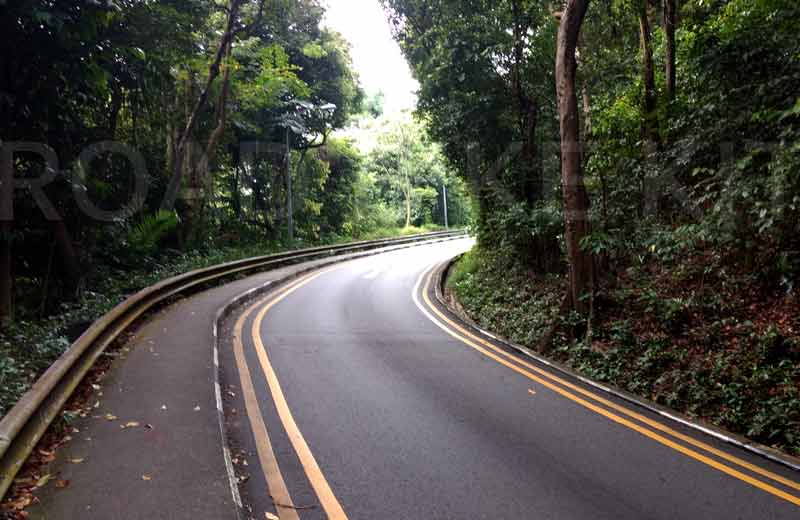 mount faber 1