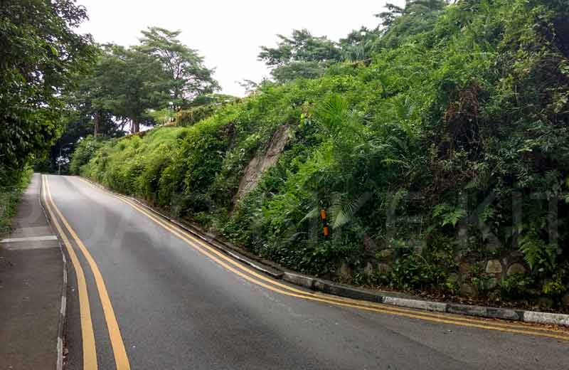 mount faber 2