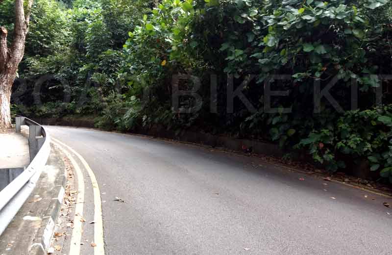 mount faber 3